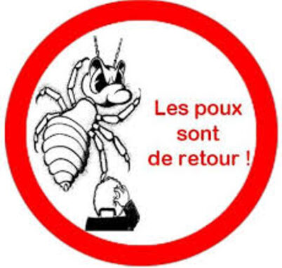 image poux.jpg